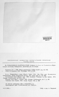 Phragmidium kamtschatkae image